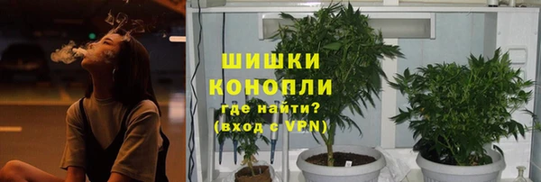 гидропоника Богородск