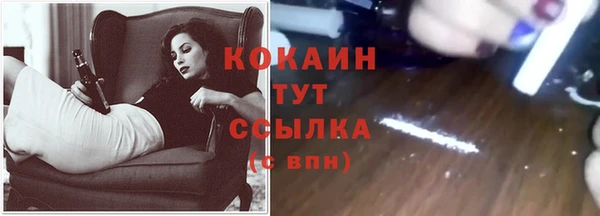 каннабис Богданович