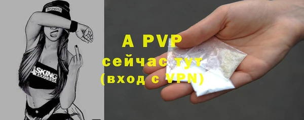 каннабис Богданович