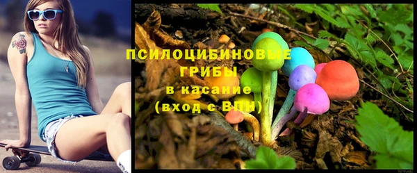 PSILOCYBIN Бронницы